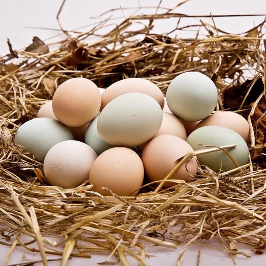 茶林飞鸡土鸡蛋40枚 商品图1