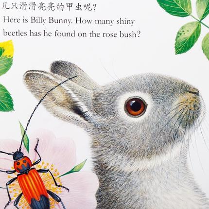 乐乐趣童书 亮丽精美触摸书系列 -小水獭奥斯卡(中英双语) 幼儿童启蒙认知图画书 互动益智亲子读物 触觉训练图书 商品图1