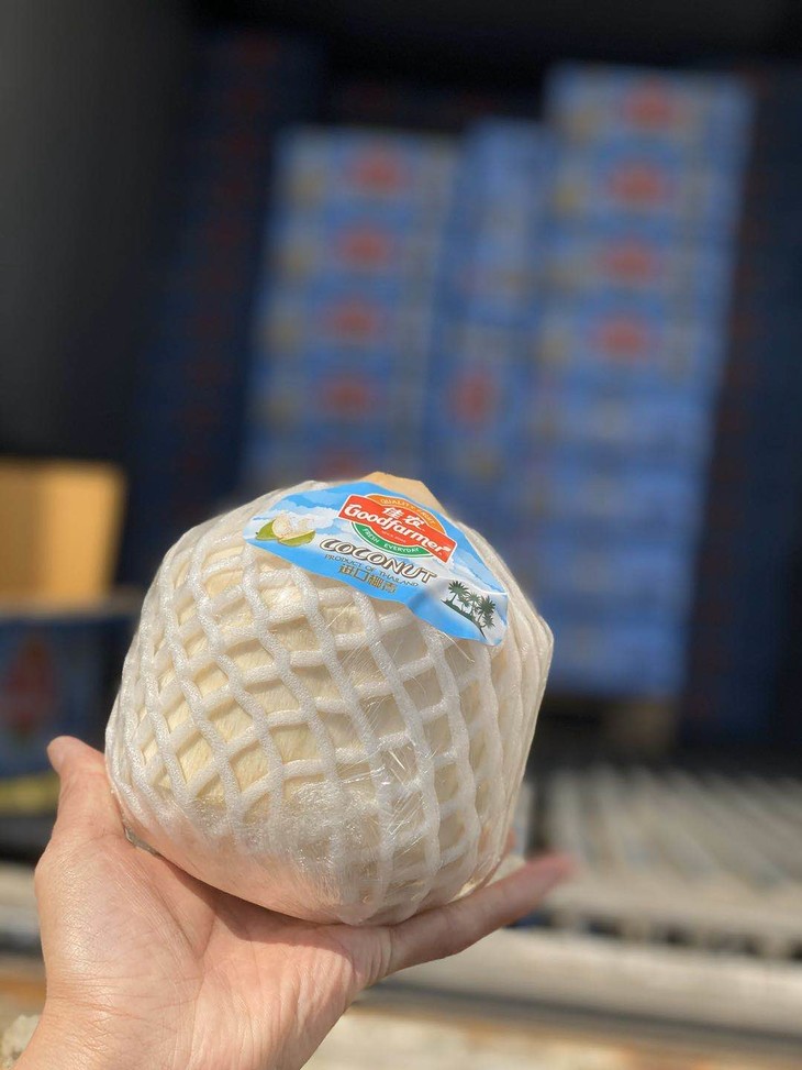 周四取货佳农椰青清甜可口超级好喝一口下去都是大自然的味道