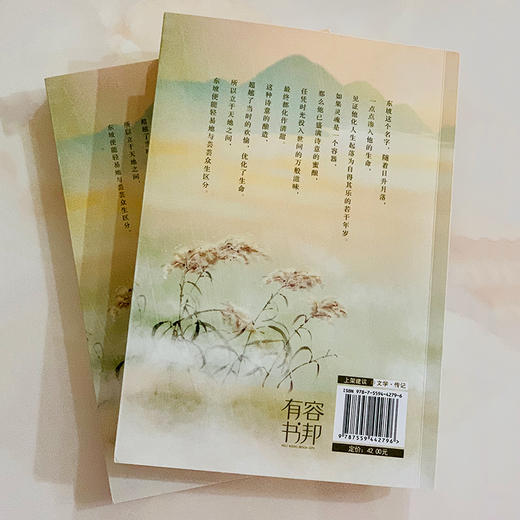 苏东坡传 我只是个有趣的凡人 商品图3