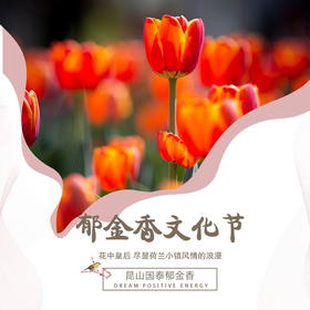 【妈网春游】昆山国泰郁金香文化节 /// 近300万株郁金香为您绽放春天的味道，尽显荷兰小镇风情的浪漫