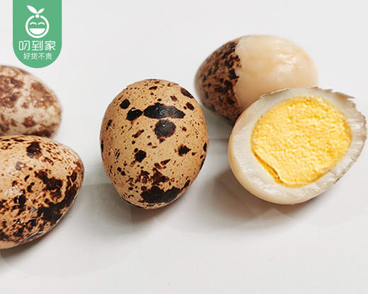 八市锅上一绝盐焗鹌鹑蛋/1盒（34-36个，共350g）生产日期：4月15日左右 商品图6