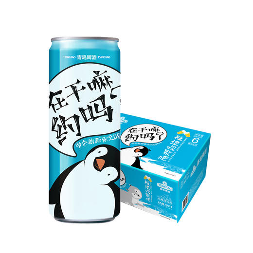 【社群专属活动】青岛啤酒经典（1903）330ml*24罐/箱（极地） 商品图6