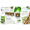 《我想知道为什么》一、二 辑 自然探索系列 / 万物运转系列 全20册 商品缩略图9