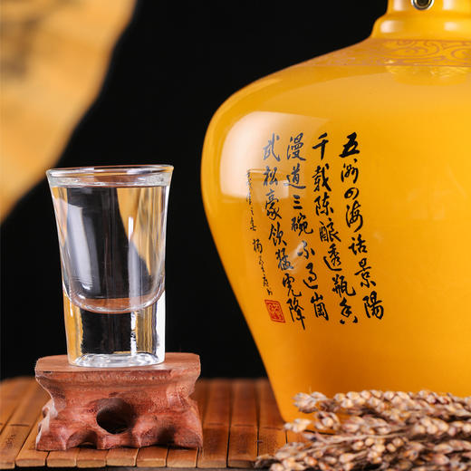 【亲民礼盒】景阳冈 52度虎跃封坛酒浓香型粮食白酒 1600ml大坛礼盒装 商品图3