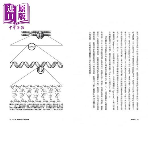 【中商原版】基因社会：从单一个体到群体研究.破解基因的互动关系与人体奥妙 港台原版 以太‧亚奈 马丁‧勒尔克 卫城  生命科学 演化遗传 商品图3
