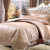鑫缘 高档丝棉提花四件套 DSK3418 商品缩略图1