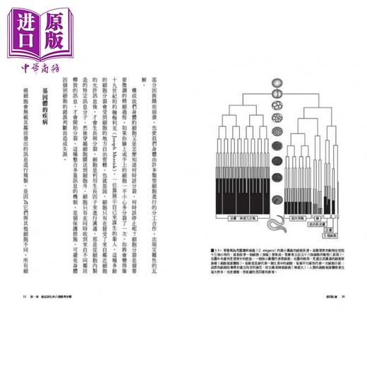 【中商原版】基因社会：从单一个体到群体研究.破解基因的互动关系与人体奥妙 港台原版 以太‧亚奈 马丁‧勒尔克 卫城  生命科学 演化遗传 商品图2