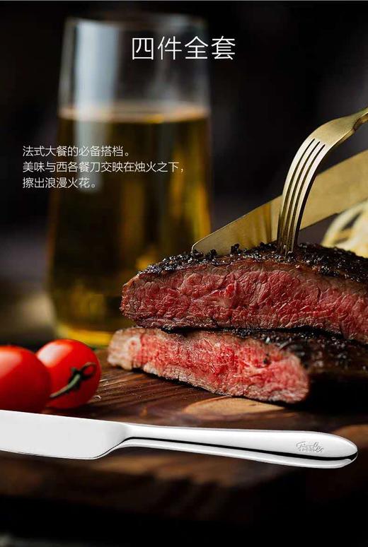 7F  Fissler菲仕乐餐具4件套 商品图0