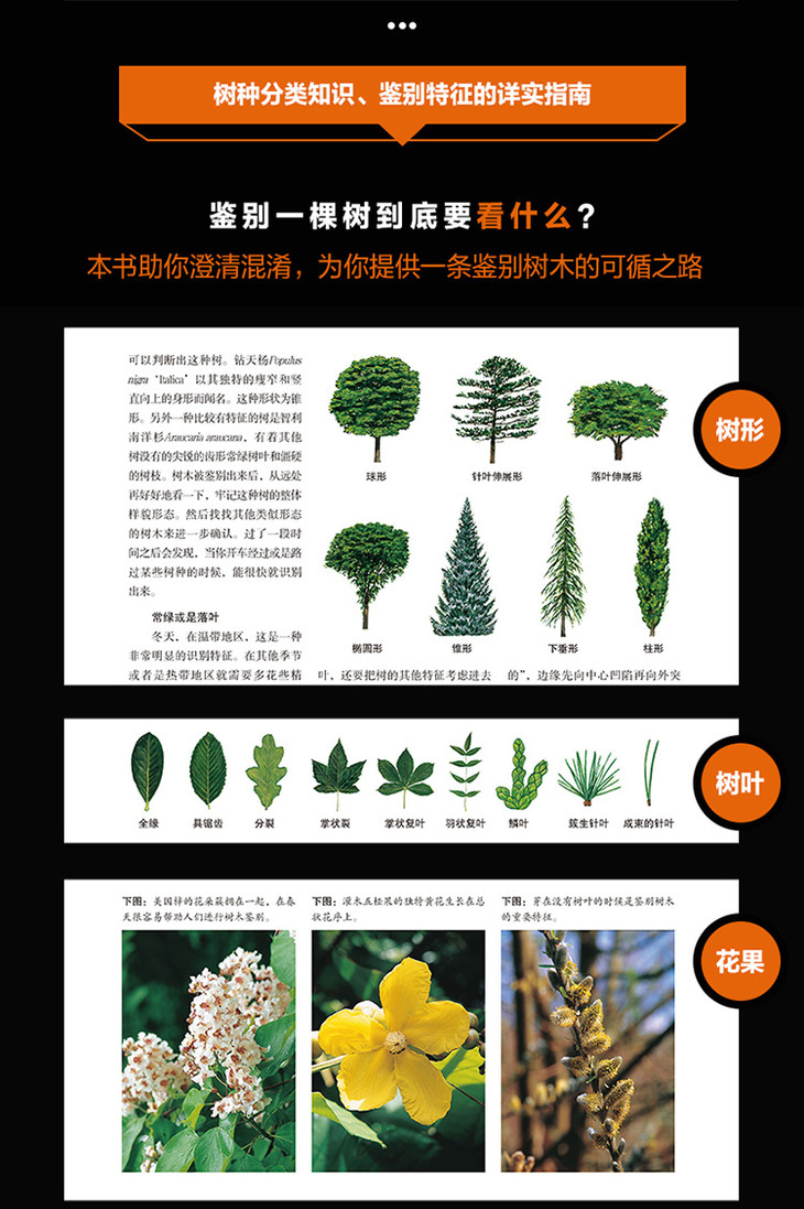 树木百科全书世界600余种树木全彩图鉴