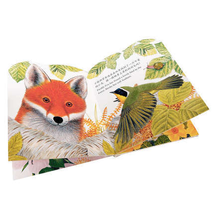 乐乐趣童书 亮丽精美触摸书系列 -小水獭奥斯卡(中英双语) 幼儿童启蒙认知图画书 互动益智亲子读物 触觉训练图书 商品图4