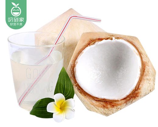 泰国香水奶椰/1个（700-850g） 商品图1