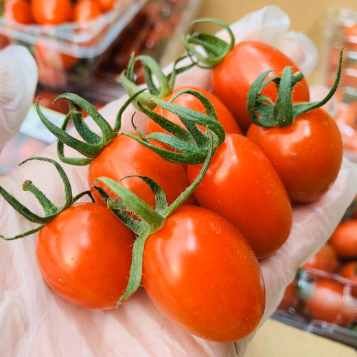 ~玉女番茄（红色好浓的番茄味），传闻用豆浆浇灌的就是这货！我怀疑我以前吃的番茄都是假的[捂脸]超薄的果皮，超甜细腻果肉，口口爆浆，让人身心愉悦的甜度！ 商品图2