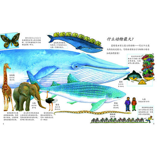 《我想知道为什么》一、二 辑 自然探索系列 / 万物运转系列 全20册 商品图11