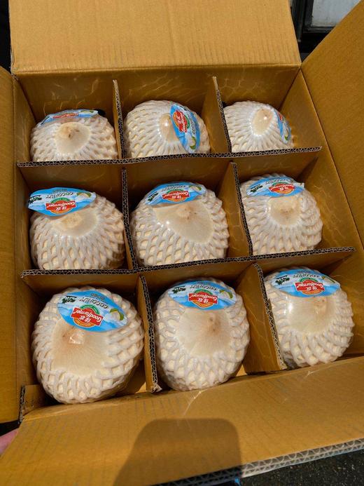 周四取货佳农椰青清甜可口超级好喝一口下去都是大自然的味道