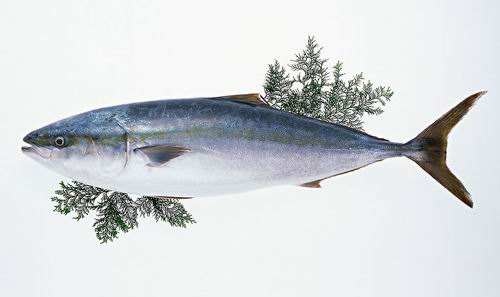 87543456789.jpg 87543456789.jpg