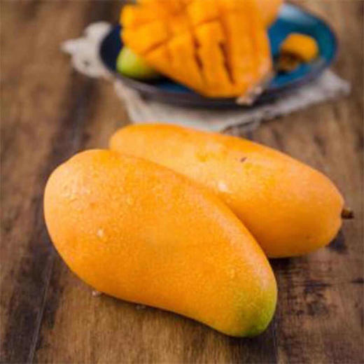 【果】水仙芒 约450g/个 商品图3