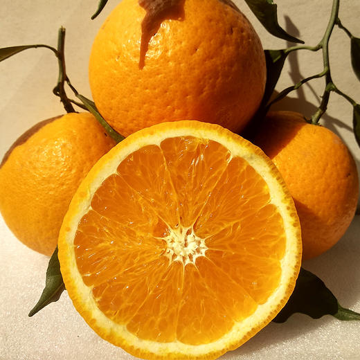 青见柑橘香甜多汁咬一口果汁四溅特罗维塔甜橙与温州蜜柑的一次完美