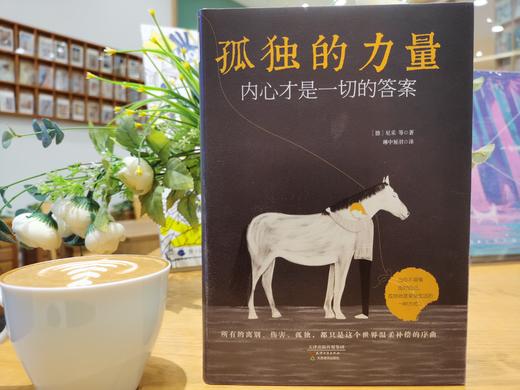 孤独的力量：内心才是一切的答案 商品图2