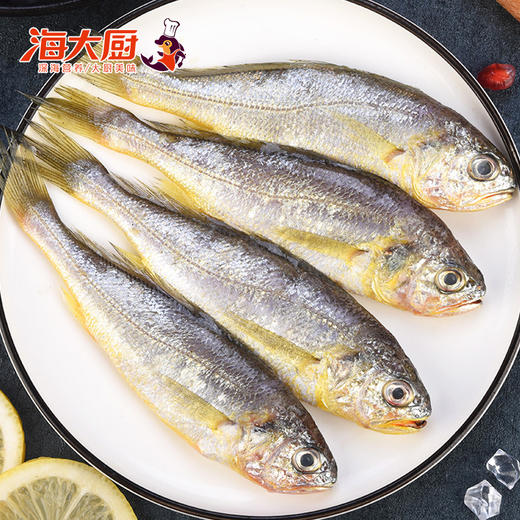 【海大厨】海捕黄花鱼 500g 50-70g/条 商品图2