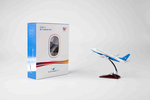 厦门航空飞模：第100架彩绘飞机 07XMN 商品图0