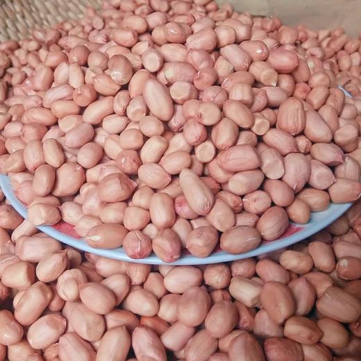 大花生 50斤/件 商品图0