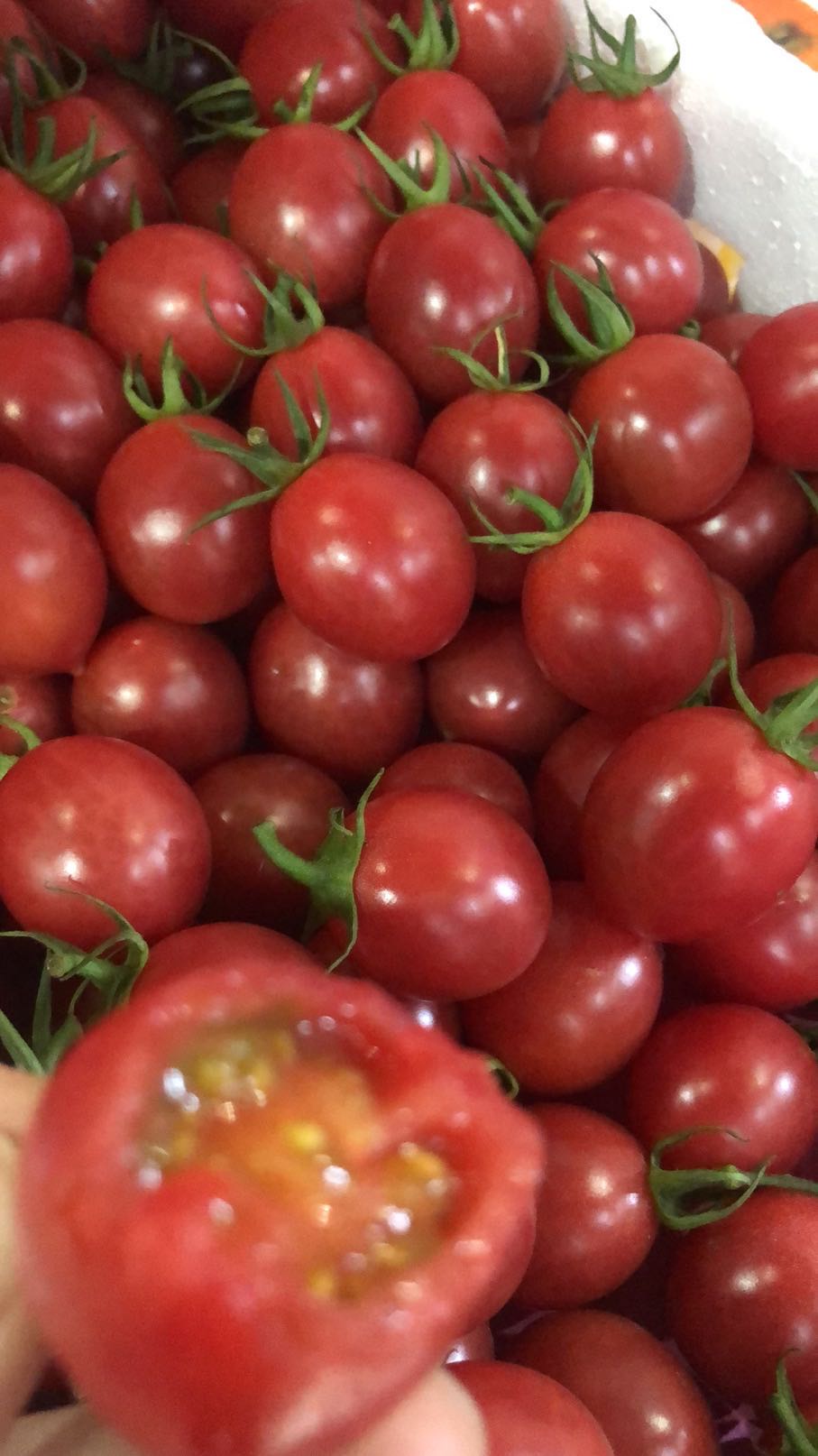 小番茄，吸取阳光，自然成熟，皮薄味甜，颗颗甜到你心里~一箱3.5斤