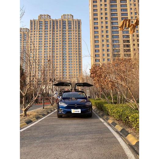 【特价月租-北京】特斯拉 Model X 90D 商品图2