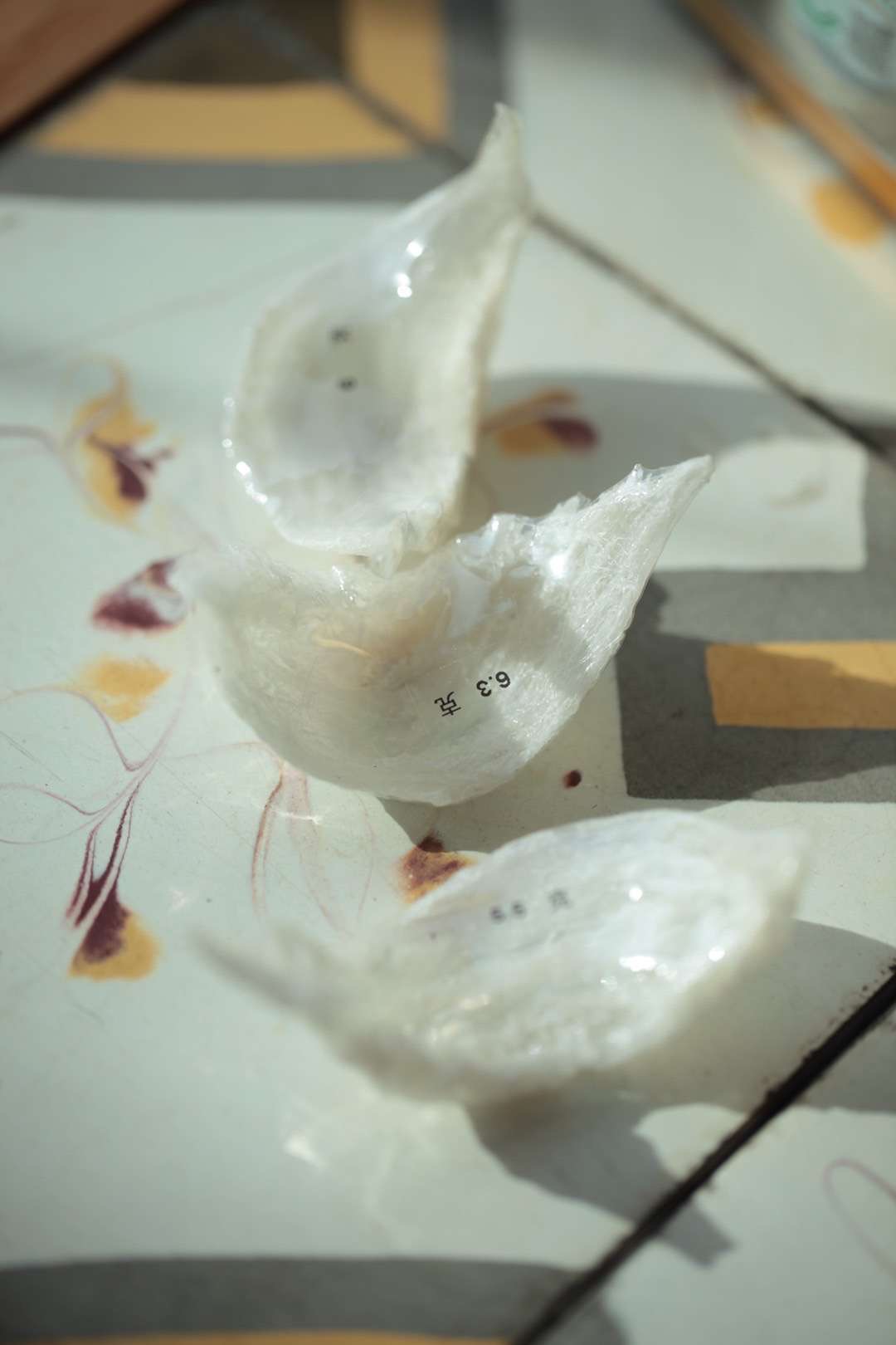 美燕屋/御龙盏 溯源码燕窝 孕妇滋补营养品 精选马来西亚雨季干燕窝