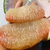 柚子泰国红心果翡翠蜜柚 2/4个装 商品缩略图9