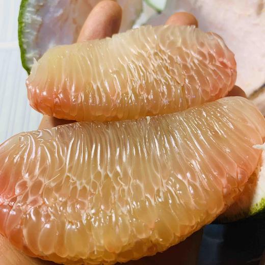 柚子泰国红心果翡翠蜜柚 2/4个装 商品图9