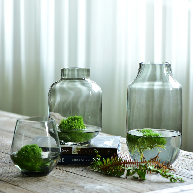 Bixuan现代简约透明玻璃花瓶 家居装饰品花器餐桌客厅样板间摆件