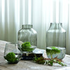 Bixuan现代简约透明玻璃花瓶 家居装饰品花器餐桌客厅样板间摆件 商品缩略图0