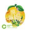 B182溜溜梅|凤梨梅蜜饯 60g/袋 商品缩略图0