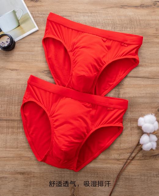 男士莫代尔精梳棉全棉净色印花大红三角内裤9203/3229/3971/3990/3892/3921/13971/23971 商品图6