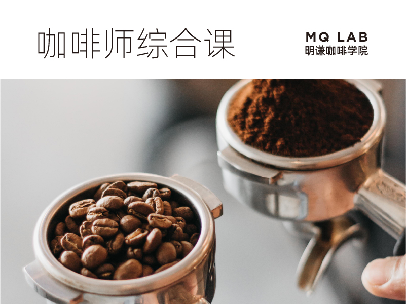 MQLab | 横店咖啡师综合课程