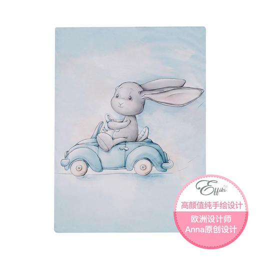 【血亏69清仓 不退不换 慎拍】北欧风波兰进口effiki艾菲兔 双面毯 空调被 商品图3