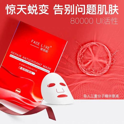 斐思妮灯泡膜5片 商品图2