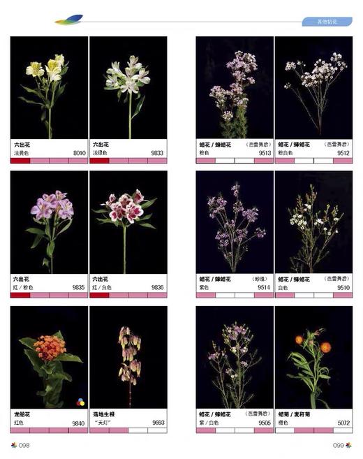 《鲜切花品种图册》