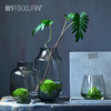 Bixuan现代简约透明玻璃花瓶 家居装饰品花器餐桌客厅样板间摆件 商品缩略图1
