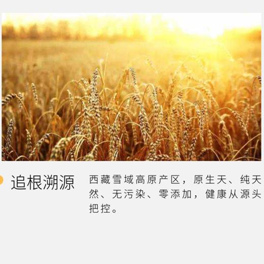 天然藏血麦 2.5kg/袋 商品图2