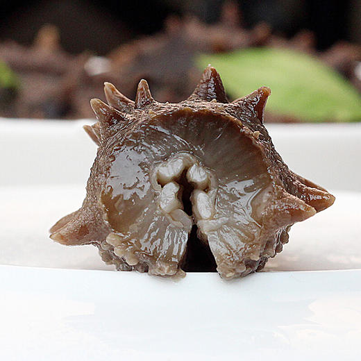 【大连·长兴岛】顺丰空运即食野生海刺参 真空装 买二份送精美礼盒 口感爽滑 营养丰富 海参 大连海鲜特产 商品图0