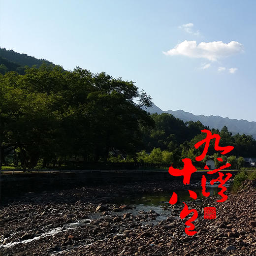 有机雪耳/银耳 | 中国地标银耳，有机认证，来自通江县，原生态青杠木生长，非菌包种植，营养更高 商品图4