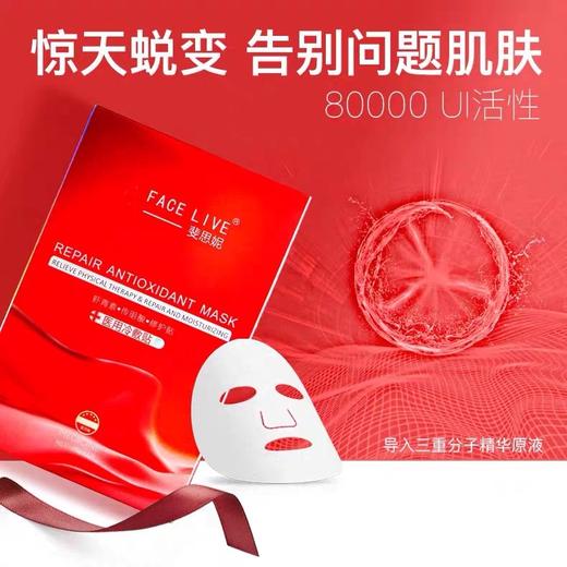 斐思妮灯泡膜5片 商品图3