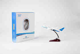 厦门航空飞模：787-8梦想之翼 03XMN