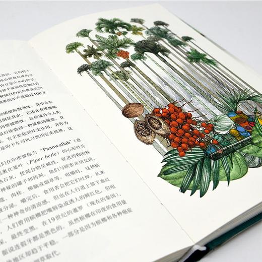 环游世界80种树 乔纳森 德罗里 著 社科科普 植物学 图书 商品图1
