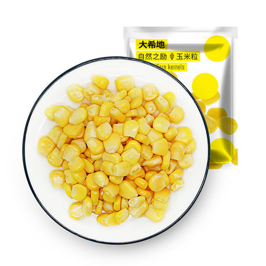 【大希地】自然之励玉米粒100g*10袋 商品图0