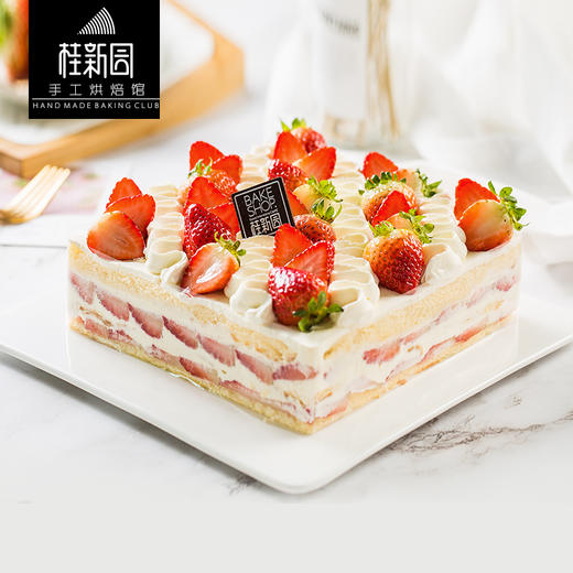 【红莓印雪】 温州桂新园手工烘焙馆纯乳脂生日蛋糕 商品图0