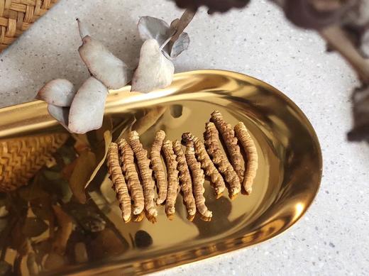 【美燕屋】那曲冬虫夏草断草 商品图2