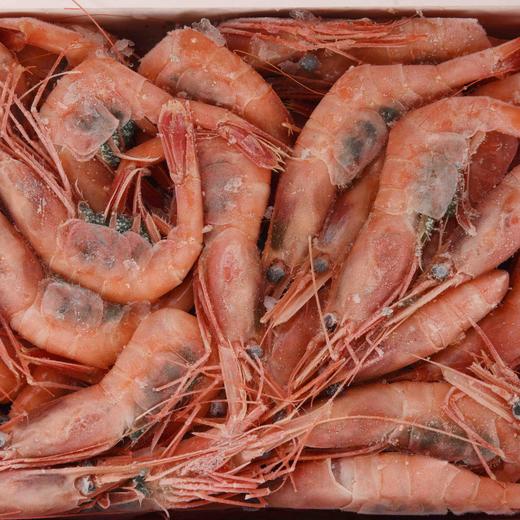 俄罗斯甜虾顺丰快递运费到付 商品图1
